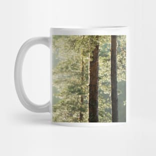 After rain Mug